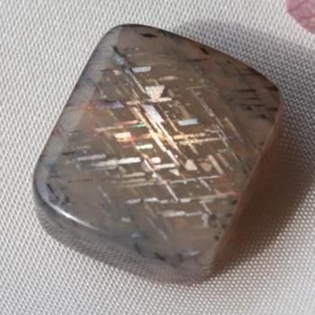 ξ̤ˡҡ󥶥˥쥤ܡƥ󥹥ȡ 롼8ct  12.4mm