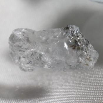 ꡡŷȤСեʥȡեʥȡ ƱåȥѤߡ12mm 