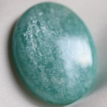 饭顡ڥ롼ߥȥ꡼󡦥ޥʥȡܥ43ct  31mm