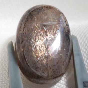 ꡡ٤ҡ󥶥˥쥤ܡƥ󥹥ȡ ܥ7ct  16.3mm