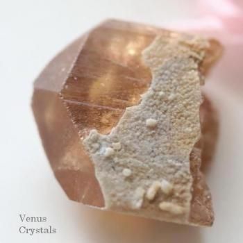 鉱物標本 結晶・原石 - 夕星庵 -Venus Crystals-