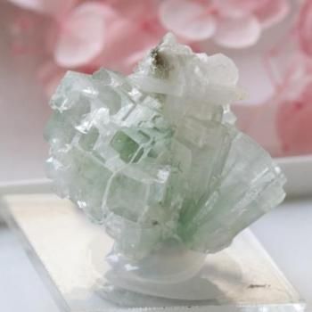 鉱物標本 結晶・原石 - 夕星庵 -Venus Crystals-