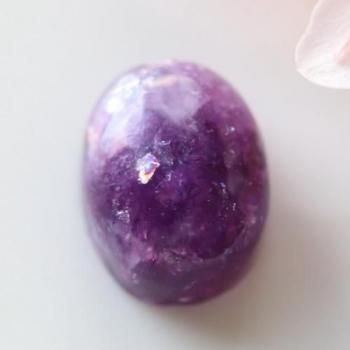 ꡡԥɥ饤ȡ˥ƥåڥޥȡܥ11ct  14mm