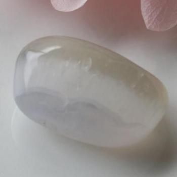 쥢ȥꥫ顼֥롼륻ɥˡ֥롡19mm
