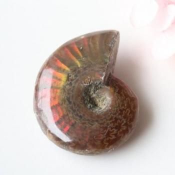 ֤ͷޥ뻺ʥȡС28mm