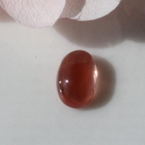 夕星庵 -Venus Crystals-