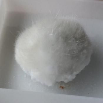 ふわふわ オケナイト オーケン石 14mm ゆうパック便