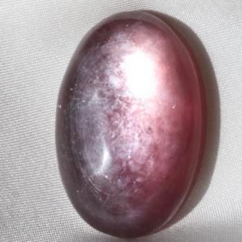 饭顡ѡץ롡ԥɥ饤ȡޥ졡ϥƥܥ26ct  26mm