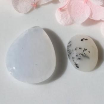 ߥ륭ۥ磻Ȥμ񻺹ʪθ륻ɥˡܥ󡡤ȡǥɥåġåȡ12ct  12-18mm