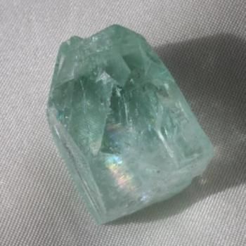 ꡡ꡼󡡥ݥե饤 ĥ뾽Pune) 18mm