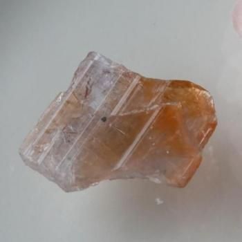 쥢 ꡡХ顼󥶥˥ޥͥʥȡ뾽 (ָ) 17mm