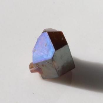 ͥåȡʥ֥롼¾ˡɸŷ¼쥤ܡͥåȡ뾽8mm