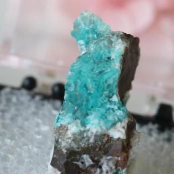 ᥭȡȡ륵ȡ饹20mm  ɸܥդ椦ѥå