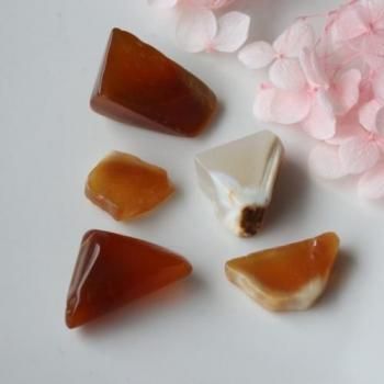 񻺹ʪ彣ۥ磻ȥ륻ɥˡͥꥢ󡡤ȤƤʡ֥륻åȡ11-21mm