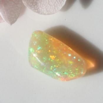 饭顡衡ԥ쥤ܡԥեѡ ե꡼եࡡ10mm