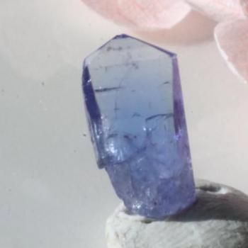 �ѡ��ץ롡�֥롼�����󥶥ʥ��ȡ����뾽��10mm