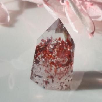 ���饭���֡������������᤭ �ʥ������ꥢ������åɡ��ե���ȥࡦ�������ġ��ݥ���ȡ�13mm