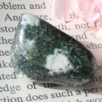 �ץ쥻�ꡦ�֥롼�����ȡ���ʥ��ȡ��󡦥إ󥸤��С˥���֥롡30mm��