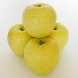 津軽 りんご 成木 有機栽培 津軽 りんご 成木 有機栽培 苗木・植木