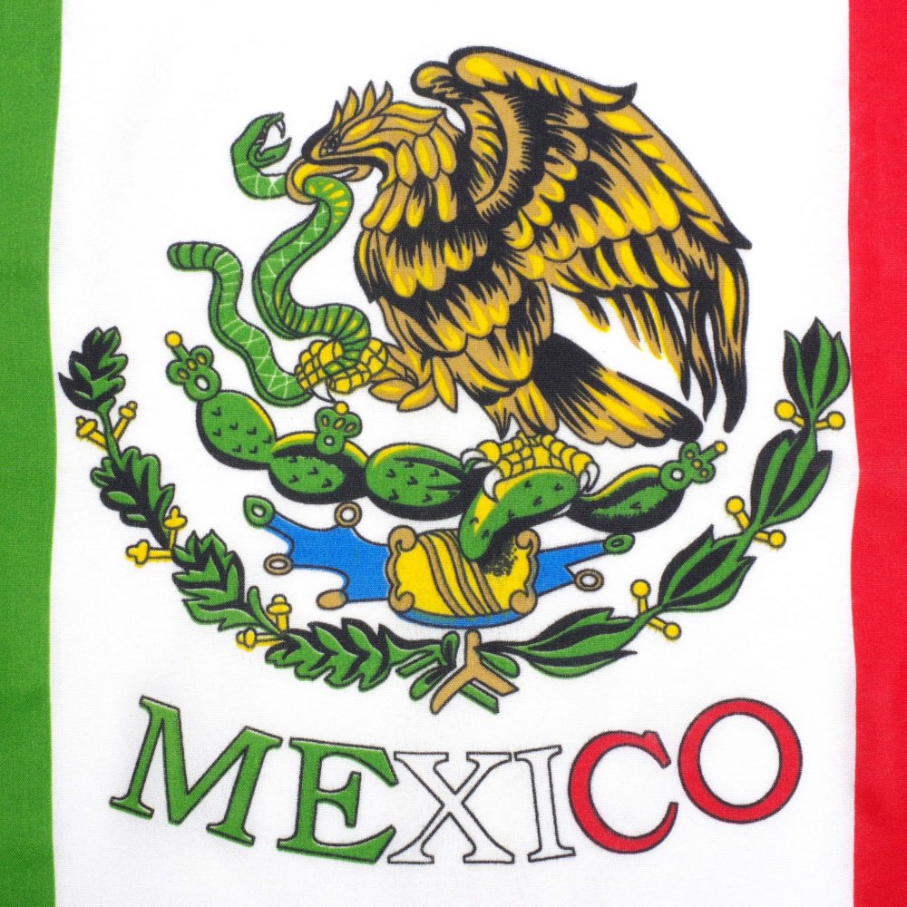 メキシコ国旗とペイズリー バンダナ