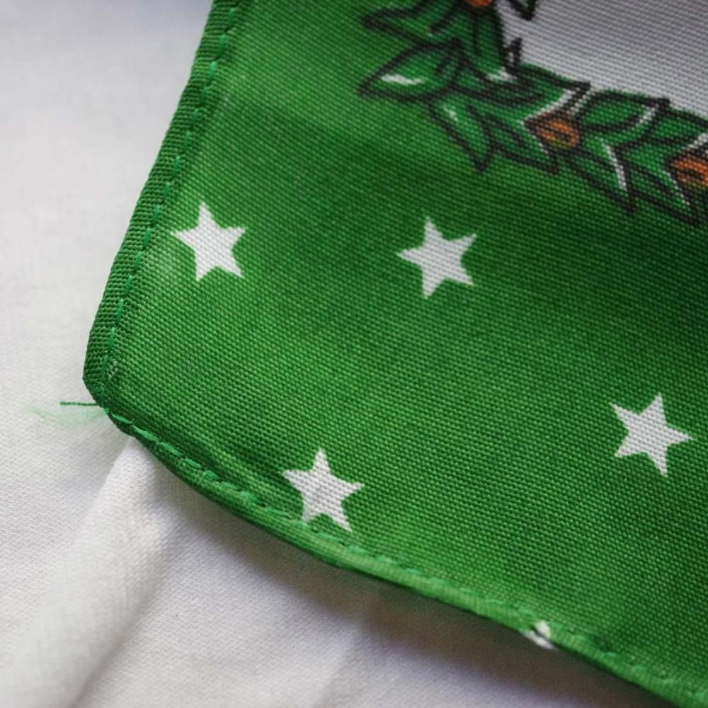 롼ڡХʡGREENɾˤ