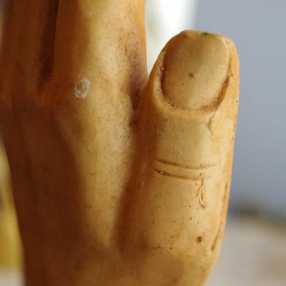 �Բ�ǽ���ǽ�ˤ������͡���ΤҤ饵��ե������ǥ���(H14cm)