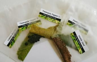 Native Spice お試しセット (5種類)
