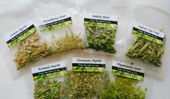 Native Herb Tea ¤ª»î¤·¥»¥Ã¥È¡¡¡Ê7¼ïÎà¡Ë