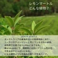 Premiumjasレモンマートルティー Tb10個 50個入り クルッティ Kurrutti レモンマートル専門店 Premiumjasレモンマートルティー Tb10個 50個入り クルッティ Kurrutti レモンマートル専門店
