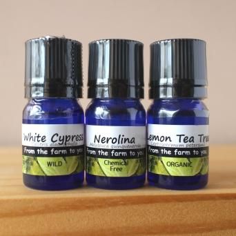 #3 ¥ª¡¼¥¹¥È¥é¥ê¥¢¤Î¥¨¥Ã¥»¥ó¥·¥ã¥ë¥ª¥¤¥ë¡¡5ml¡¡x¡¡3¼ïÎॻ¥Ã¥È