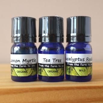 ÄêÈ֤Υª¡¼¥¹¥È¥é¥ê¥¢»º¤Î¥¨¥Ã¥»¥ó¥·¥ã¥ë¥ª¥¤¥ë¡¡5ml¡¡x¡¡3¼ïÎॻ¥Ã¥È