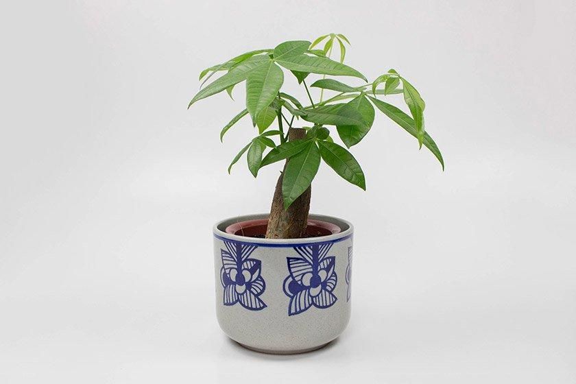 陶器　　インテリア THE-SECRET-GARDEN シノワズリ Blue & White 飾り壺 大 青白陶器