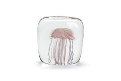 Jellyfish Twisted Leg 쥢 / ԥ
