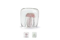 Jellyfish Twisted Leg  / ԥ / ۥ磻