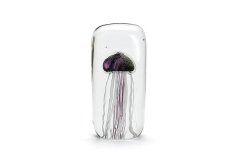 Jellyfish Twisted Leg ȡ / ѡץ