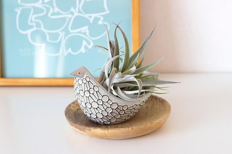 最終お値下げ！超希少！伊藤利江さん　一点物！お花の入れ物　バーズワーズ m87190572393_1.jpg?1663115022