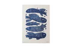  ްƥݥ 5 BLUE FISHES
