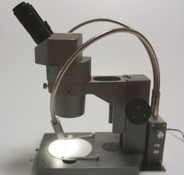 LPF-SD顕微鏡写真