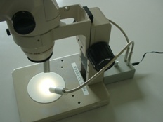 顕微鏡照明　PF-D使用写真3