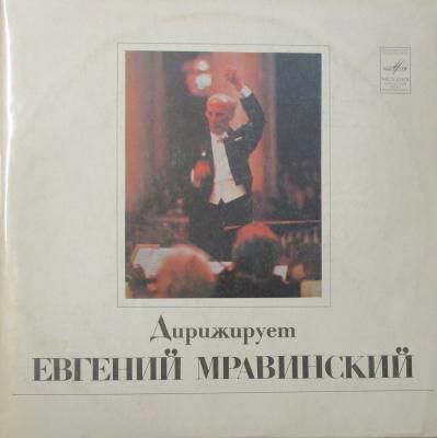 եˡ󥹥  ˥󥰥顼ɡե롡祹 裶֡ûĴ/ͥ롡 裳 ŵ