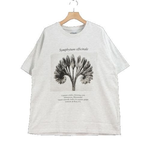 BEAUTY&YOUTH Karl Blossfeldt カール・ブロスフェルト 21SS Tシャツ L グレー -  ブランド古着買取・販売unstitchオンラインショップ