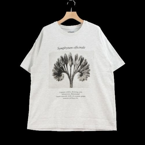 BEAUTY&YOUTH Karl Blossfeldt カール・ブロスフェルト 21SS Tシャツ L グレー -  ブランド古着買取・販売unstitchオンラインショップ