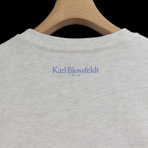 BEAUTY&YOUTH Karl Blossfeldt カール・ブロスフェルト 21SS Tシャツ L グレー -  ブランド古着買取・販売unstitchオンラインショップ