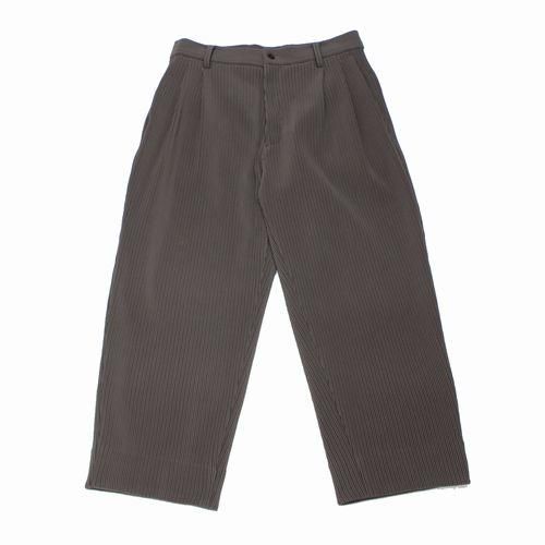 stein シュタイン 21AW GRADATION PLEATS TWO TUCK TROUSERS S グレージュ -  ブランド古着買取・販売unstitchオンラインショップ