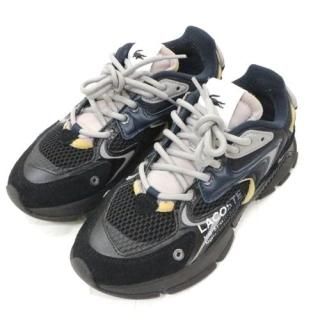 LACOSTE 饳 L003 NEO 123 1 SMA ˡ 24cm ֥å