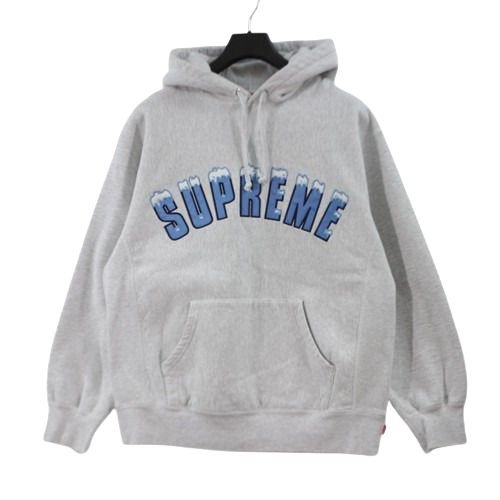 Supreme シュプリーム 20AW Icy Arc Hooded Sweatshirt パーカー M ...