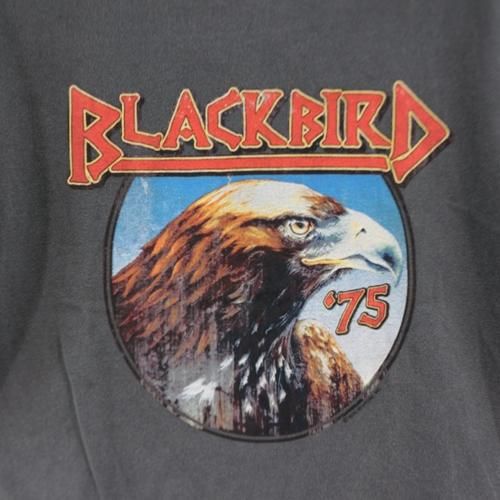 NEWTONE ニュートーン BLACKBIRD Tシャツ 1 グレー - ブランド