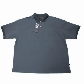 DAIWA PIER39 ԥ39 25SS TECH POLO SHIRT W/POCKET S/S ݥ L 㥳