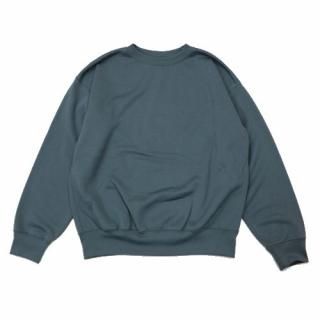 AURALEE ꡼ 20SS POLYESTER SWEAT P/O ݥꥨƥ å ץ륪С 5 ֥롼졼