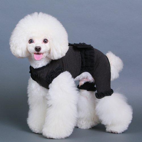 テラヘルツリボンロンパース - GODPIVA（ゴッドピバ）： 犬のお洋服、ドッグウエア＆アクセサリーの専門ブランド GODPIVA（ゴッドピバ）